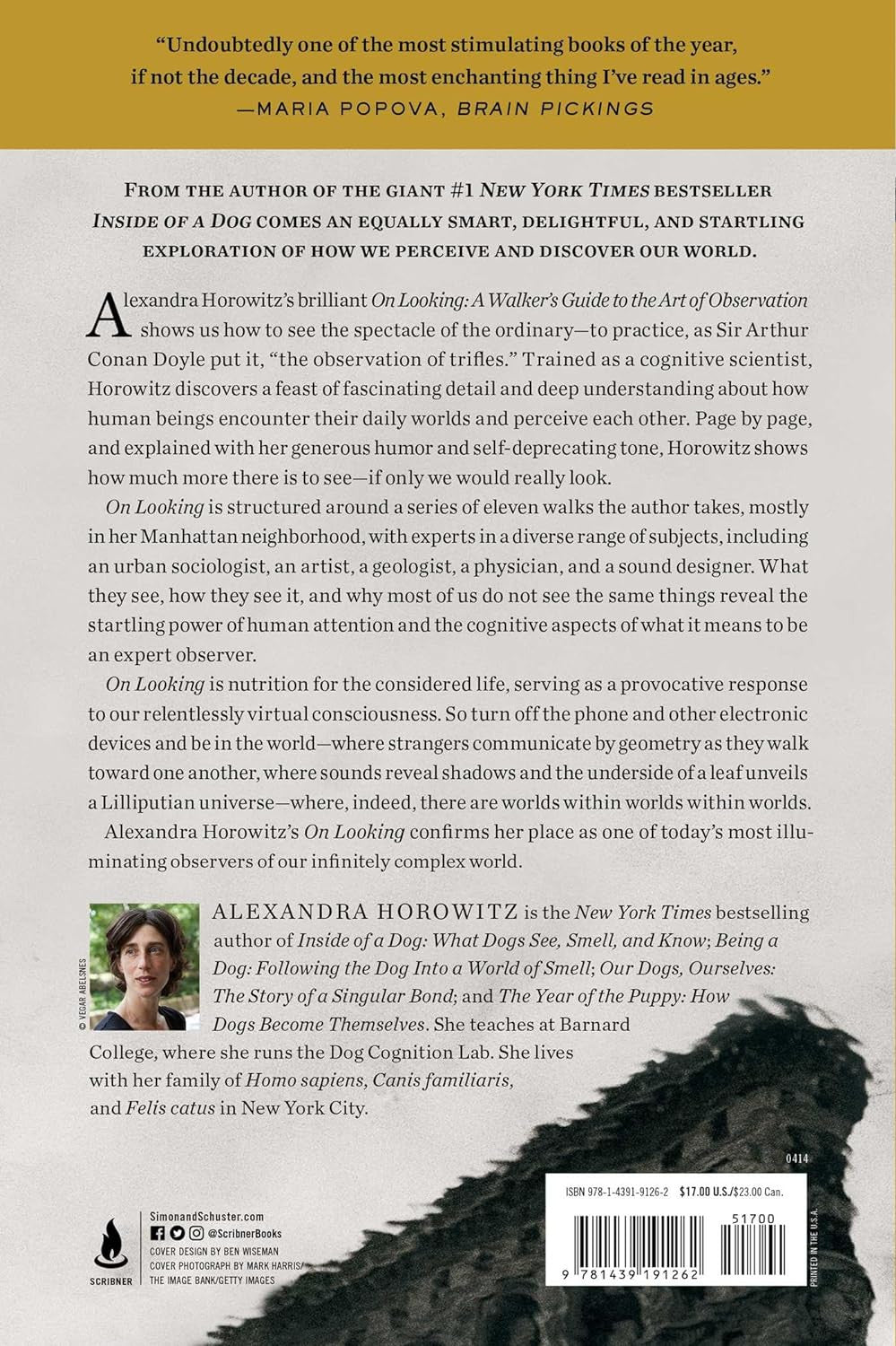 On Looking: a Walker'S Guide to the Art of Observation