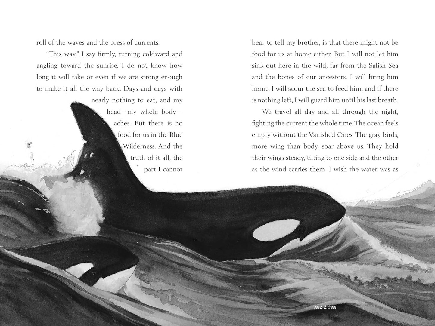 A Whale of the Wild: a Thrilling Tale of an Orca’S Journey across the Oceana Sta