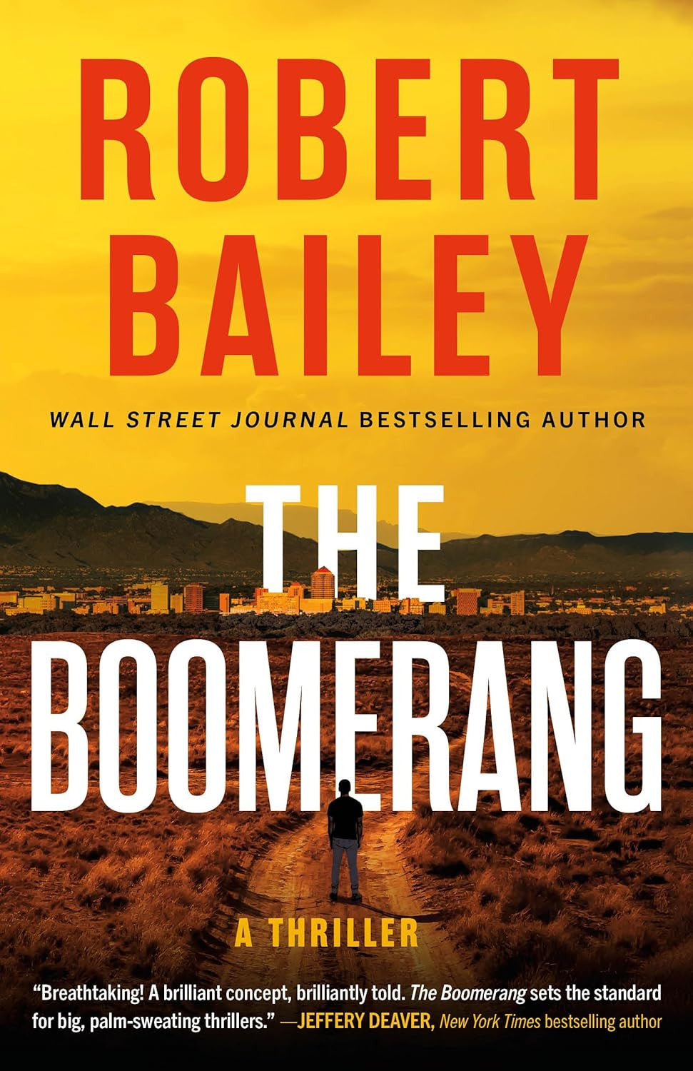 The Boomerang: a Thriller