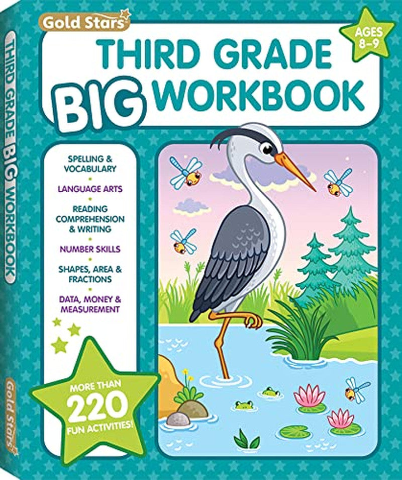 3Rd Grade BIG Workbook All Subjects for Kids 8 - 9 Includes 220+ Activities, Spe
