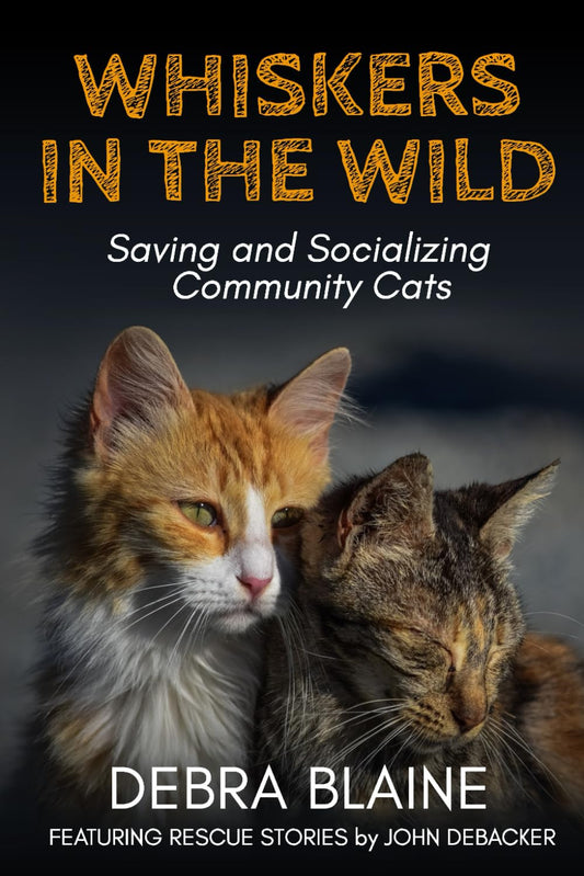 Whiskers in the Wild: Saving and Socializing Community Cats