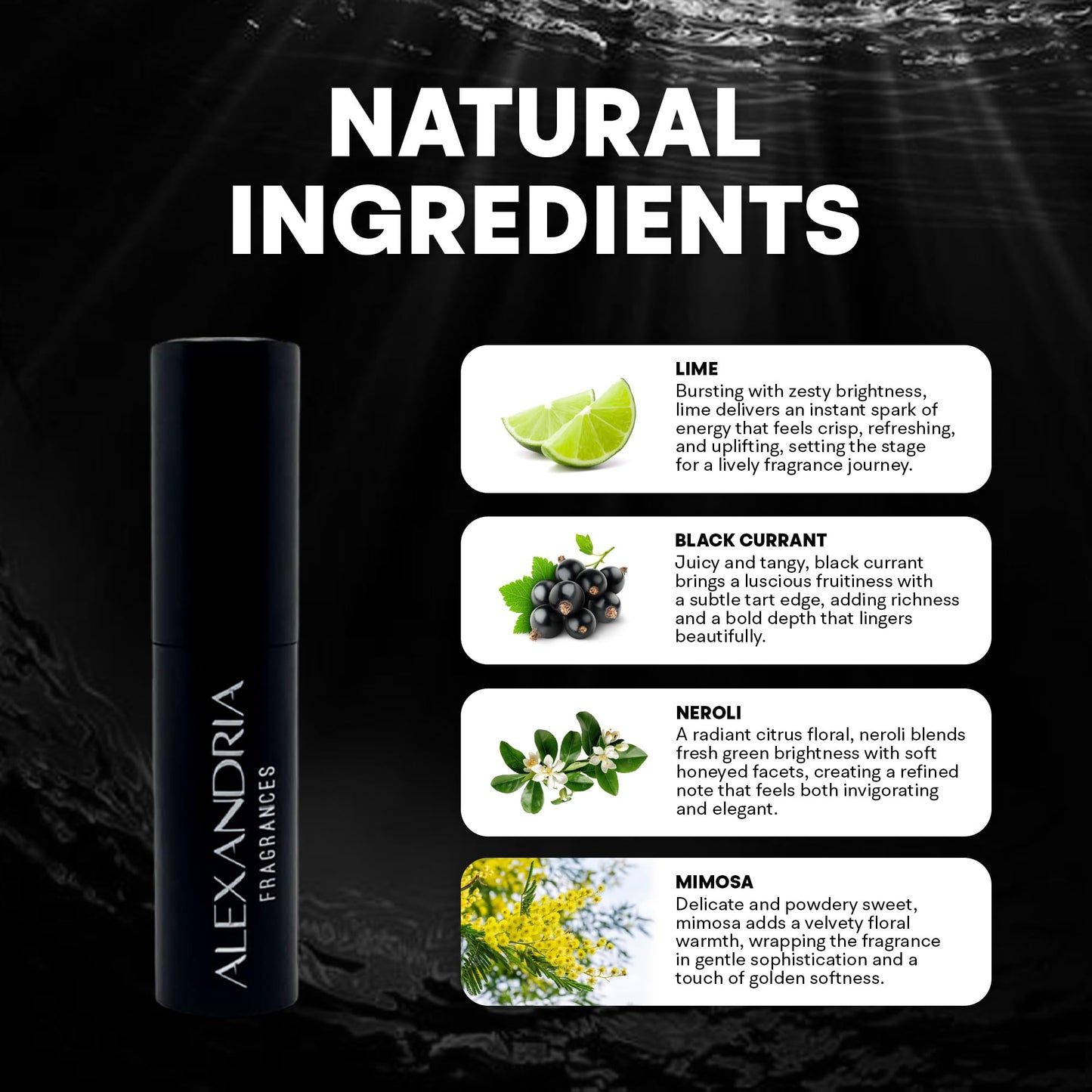 Alexandria Fragrances Deep Blue Perfume - Long Lasting Eau de Parfum for Men and Women - Fresh Citrus Parfum with Mint, Black Currant, Neroli and Musk - Luxury Men’s Cologne for Every Occasion - 10ml