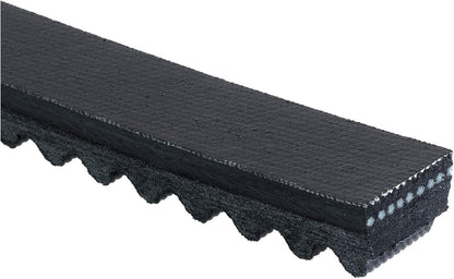TR24562 Belt