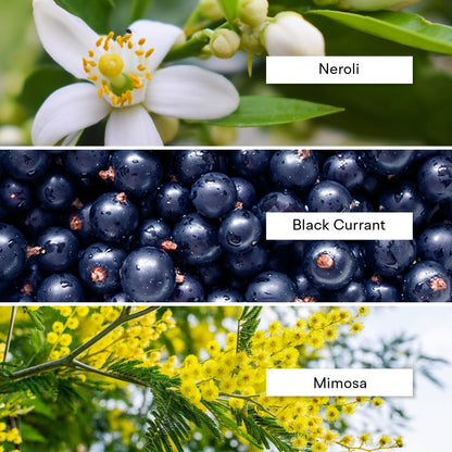 Alexandria Fragrances Deep Blue Perfume - Long Lasting Eau de Parfum for Men and Women - Fresh Citrus Parfum with Mint, Black Currant, Neroli and Musk - Luxury Men’s Cologne for Every Occasion - 10ml