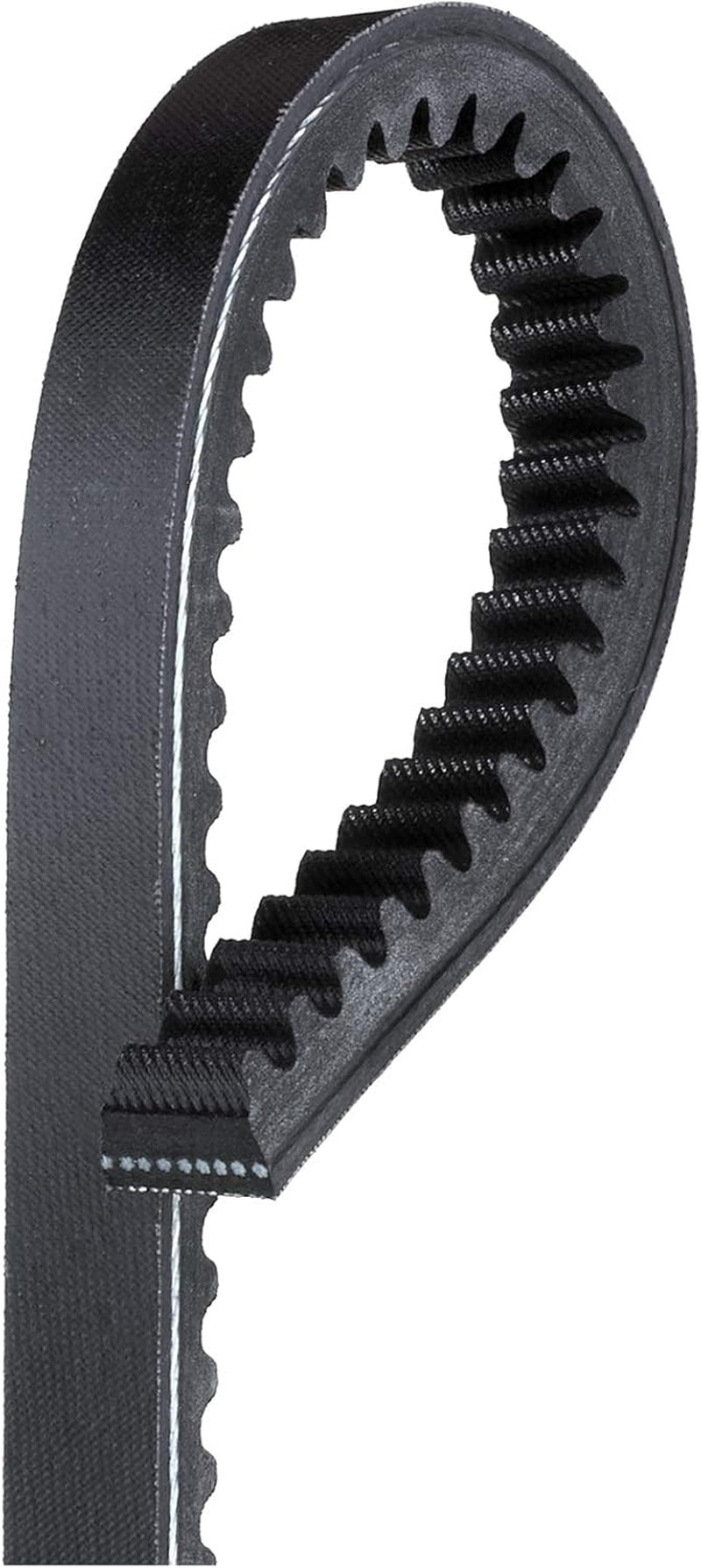 TR24562 Belt